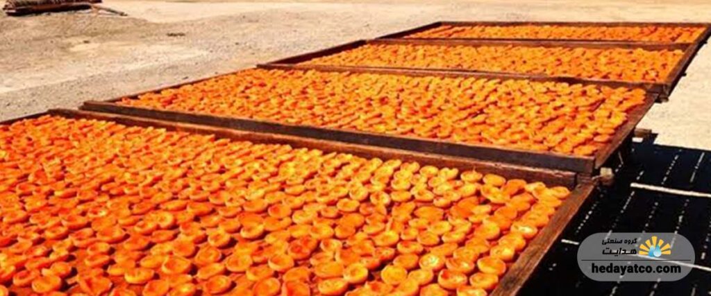 طرز تهیه میوه خشک در تابستان
