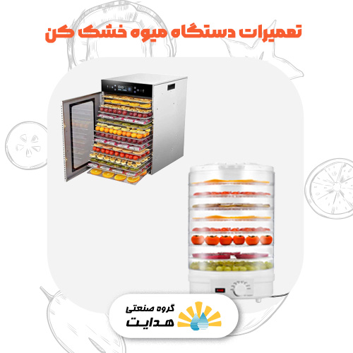 تعمیر میوه خشک کن