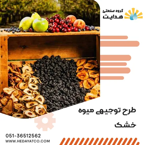 طرح توجیهی میوه خشک