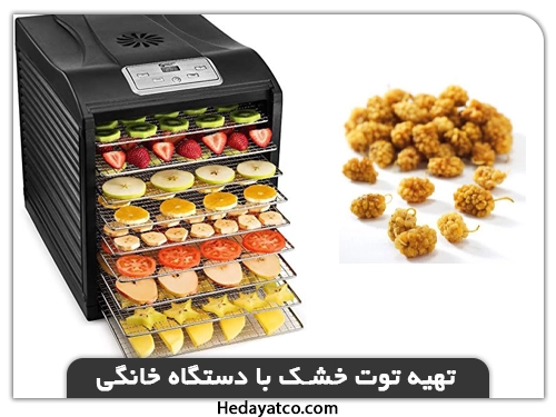 تهیه توت خشک با دستگاه خشک کن خانگی(خشک کن توت)