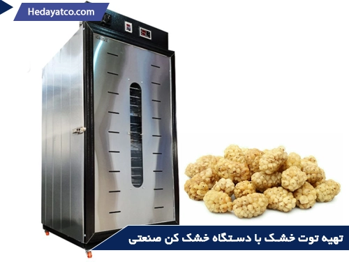 تهیه توت خشک با دستگاه خشک کن صنعتی