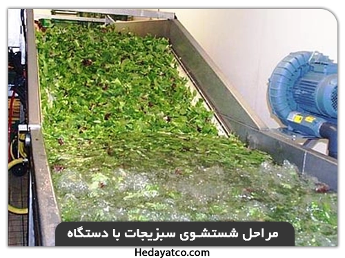 مراحل شستشوی سبزی با دستگاه شستشوی سبزیجات