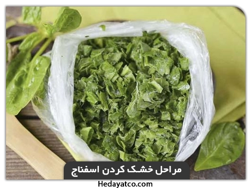 مراحل خشک کردن اسفناج و طرز تهیه اسفناج خشک