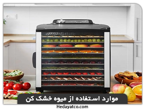 موارد استفاده از میوه خشک کن(آموزش میوه خشک کن)