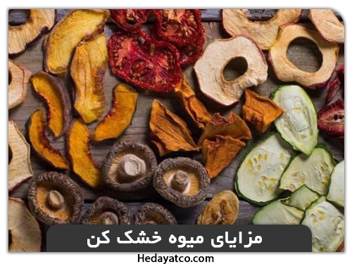 مزایای میوه خشک کن