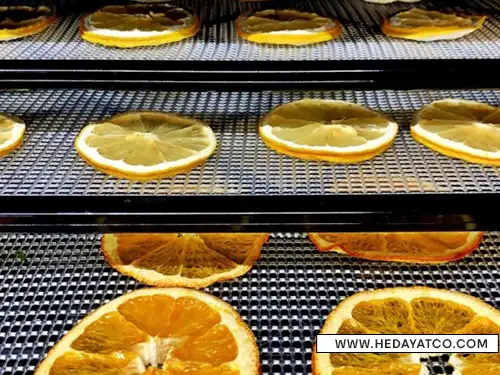 نکات کلیدی خشک کردن پرتقال در خانه