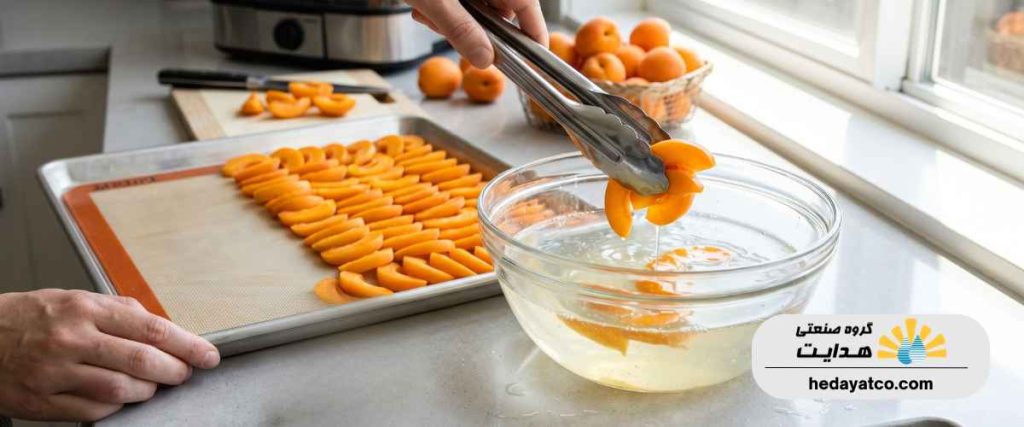 طرز تهیه زردآلو خشک