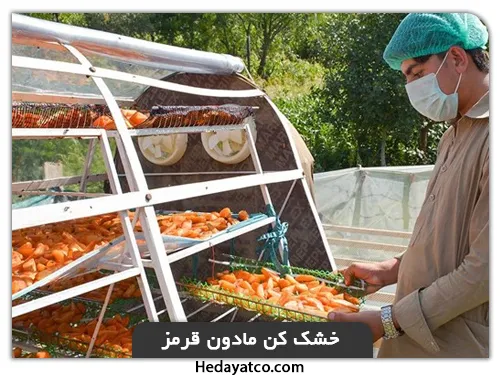 دستگاه خشک کن صیفی جات(مادون قرمز)