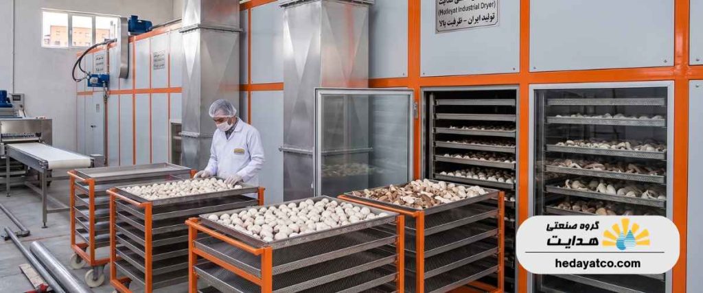 خشک کن قارچ صنعتی