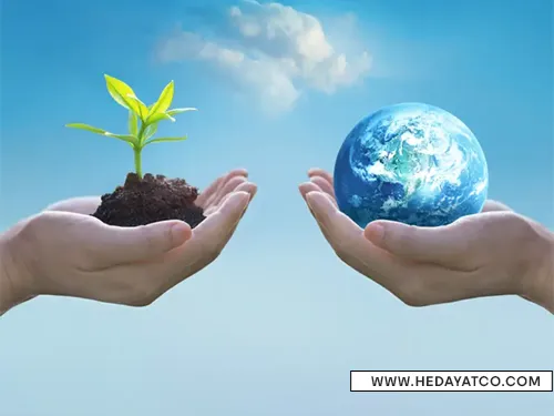 تولید سوخت زیستی با خشک کنهای صنعتی(دلیل اهمیت سوخت زیستی)