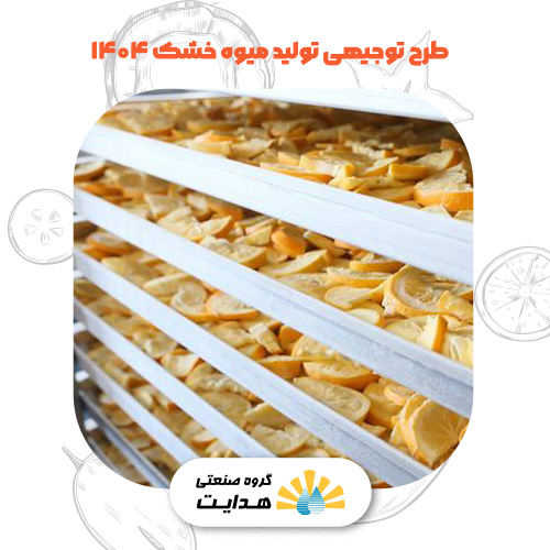 طرح توجیهی میوه خشک 1404