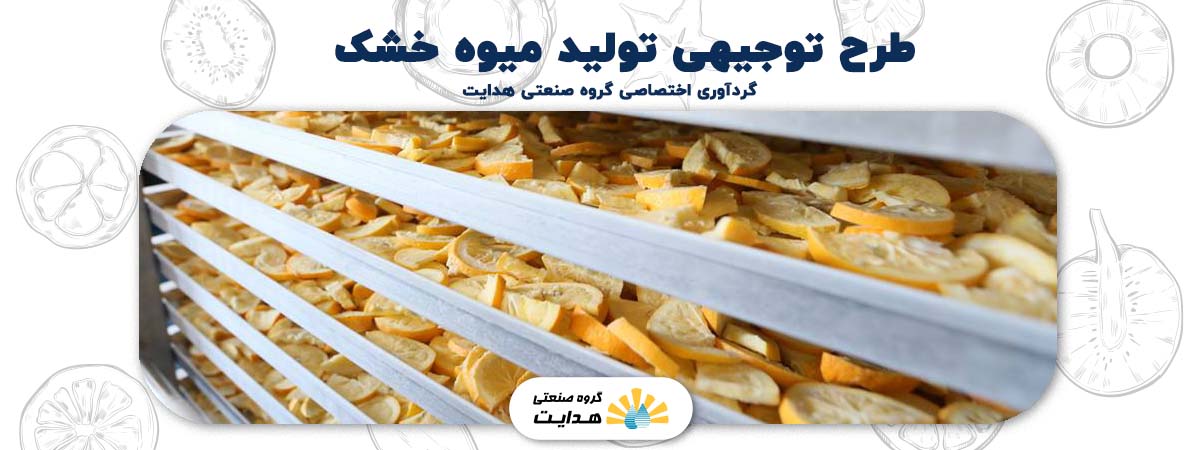 طرح توجیهی تولید میوه خشک در مشهد