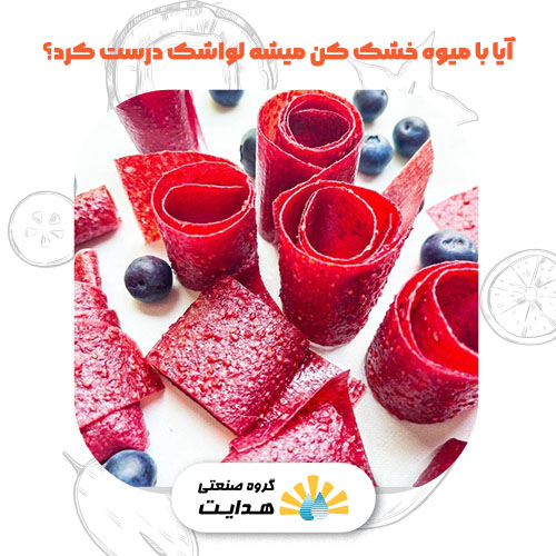 آیا با میوه خشک کن میشه لواشک درست کرد؟