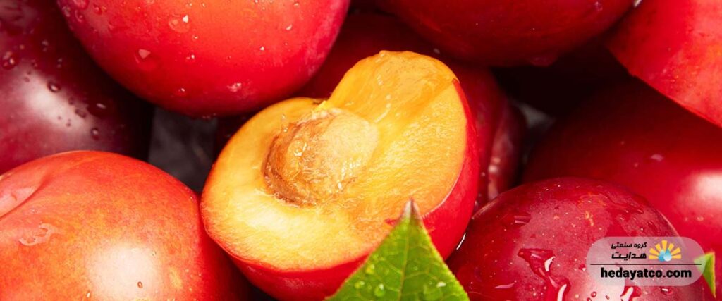 چگونه در میوه خشک کن لواشک درست کنیم