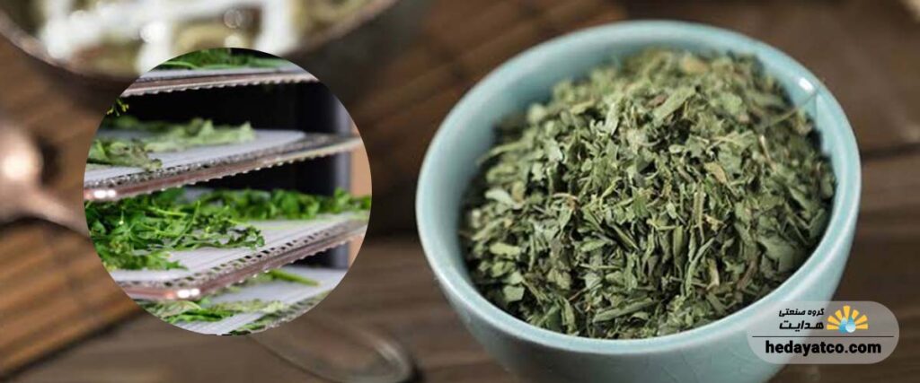 خنک کردن و نگهداری نهایی