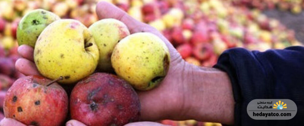 چگونه میوه خشک کنیم که سیاه نشود