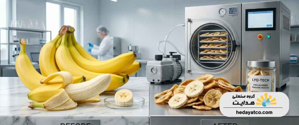 هر کیلو موز چقدر میوه خشک می دهد؟