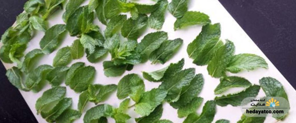 طرز استفاده از سبزی خشک کن برای خشک کردن نعنا